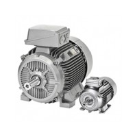 挪威LONNE電機1TZ95012BC634AA4-Z產(chǎn)品特點(diǎn)