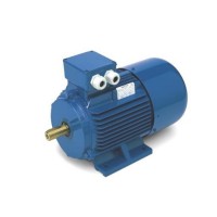 OEMER 三相異步電動(dòng)機 QCA 80 B/2 原廠(chǎng)授權品牌