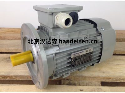 AC-motoren 電機原裝進(jìn)口