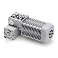 進(jìn)口正品意大利Mini Motor電機