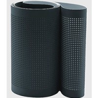 德國B(niǎo)RECOFLEX同步帶