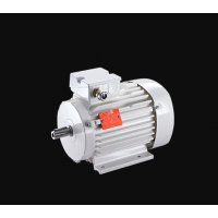 原廠(chǎng)進(jìn)口正品德國VEM低壓電機