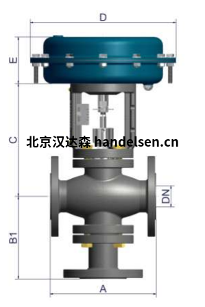 Burocco控制閥803系列細節