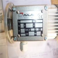 意大利 Mini Motor 無(wú)刷交流電機