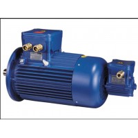 Cemp適用于變頻器驅動(dòng)的電機E3AD 30 132 ML4