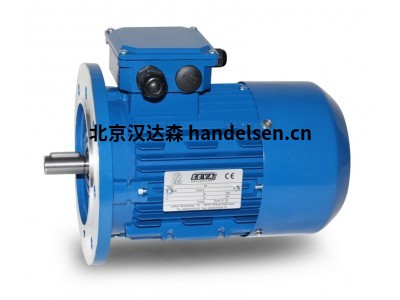 seva-tec  B3 安裝的   ATEX 防爆電動(dòng)機
