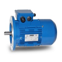 seva-tec  B3 安裝的   ATEX 防爆電動(dòng)機