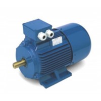 OEMER 電機QCCAS100L系列技術(shù)參數