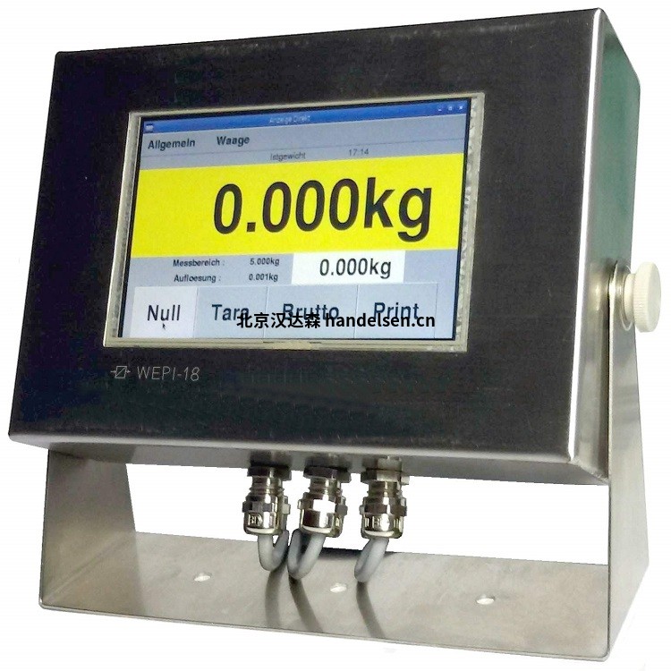 德國Georg Buttner WEPI-18稱(chēng)重顯示器