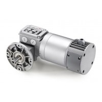 意大利 Mini Motor齒輪減速電機PCCE系列