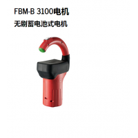 德國FLUX無(wú)刷儲電式電機FBM-B 3100