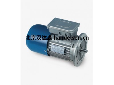 意大利進(jìn)口STM spa  TM電機和制動(dòng)電動(dòng)機