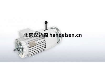 VEM緊湊型驅動(dòng)器滑環(huán)感應電機系列