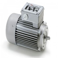 意大利Minimotor進(jìn)口電動(dòng)機渦輪蝸桿馬達驅動(dòng)器無(wú)刷電機清潔產(chǎn)品