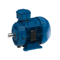 emwb  Elektromotorenwerk Brienz AG標準發(fā)動(dòng)機