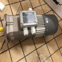 Mini motor蝸輪蝸桿減速電機MC 145P2T系列原廠(chǎng)原裝進(jìn)口