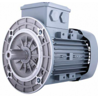 原廠(chǎng)德國HEW三相電機制動(dòng)電機防爆電機