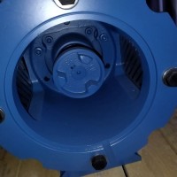 Johnson容積泵  CT 100-250 NG1 M5 L2系列歐洲原廠(chǎng)原裝