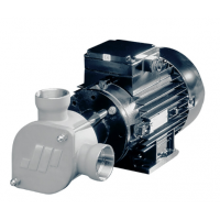 Johnson Pump 柔性葉輪泵-AC  特別適用于艙底、沖洗、消防、化糞池處理和水循環(huán)任務(wù)