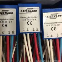 REISSMANN傳感器  電動(dòng)執行器 控制器應用