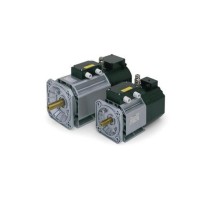 OEMER異步電動(dòng)機 QCA90SA/2系列 可變速使用，由逆變器供電