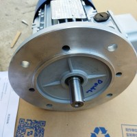 意大利MT Motori 電動(dòng)機TN 80 B4 3TH優(yōu)勢報價(jià)