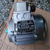 NERIMOTORI   HE2 80B型電機技術(shù)參數