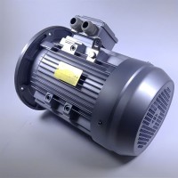 SEIPEE標準化電動(dòng)機GM200LA4 30KW型原理應用