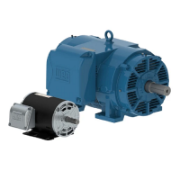 Watt Drive電機專(zhuān)為變頻器操作而設計
