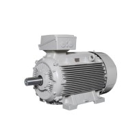 Lammers防爆電機 型號1TZ9002-0BA6效率等級：IE2、IE3