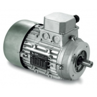 Neri Motori T50B系列三相異步電動(dòng)機2極3000rpm