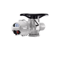GT ATTUATORI執行器GTXB.110*90.10.NP 22A.F07/F10.00參數簡(jiǎn)介