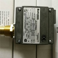BARKSDALE傳感器SW2000 CP28-040特點(diǎn)參數介紹