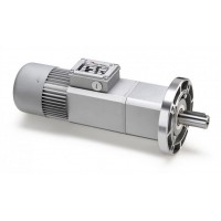意大利Mini Motor齒輪電機PAE 230M3T使用長(cháng)效機油潤滑