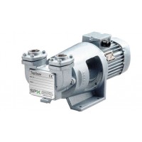 Johnson Pump內嚙合齒輪泵TG L15-50可處理低粘度介質(zhì)