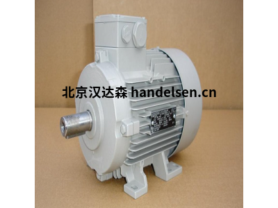 德國Lammers 進(jìn)口低壓電機1TZ9002-0BC2