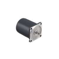瑞典進(jìn)口Transmotec 感應交流減速電機，功率高達120W