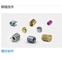 Bossard 提供多種不同類(lèi)型的螺母，墊圈，螺釘，鉚釘等緊固件