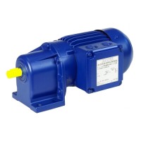 德國B(niǎo)auer Gear減速電機BS02型規格參數