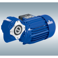 WEG UEC 303 TH緊湊型電子換向直流電動(dòng)機