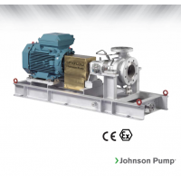 Johnson Pump 重型流程泵，適合化工/石化工業(yè)、煉油廠(chǎng)和一般工業(yè)應用