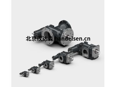 RICKMEIER R25/20 高壓齒輪泵，適用于高壓潤滑、液壓和冷卻系統