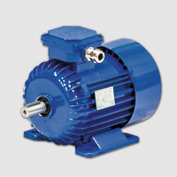 BEVI 2SIEK 63-4B 127289系列標準三相電動(dòng)機
