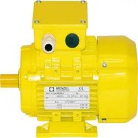 MENZEL 起重機電機技術(shù)參數簡(jiǎn)介