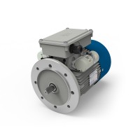 意大利MT Motori MFS80單相電機帶固定式制動(dòng)器