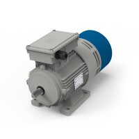 意大利MT Motori DFP160雙速電機配有電磁彈簧制動(dòng)器