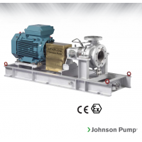 Johnson Pump 重型流程泵，適合化工、煉油廠(chǎng)和一般工業(yè)應用