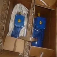CEMP危險區域制動(dòng)電機E..DB