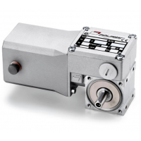 Mini Motor 蝸輪蝸桿直流減速電機BC2000-24MP，永磁直流電，全封閉
