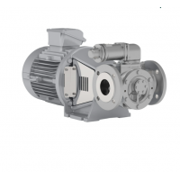 Johnson Pump 內嚙合齒輪泵，適用于中等粘度、清潔和非磨蝕性液體